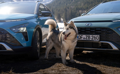 „Hyundai BAYON“ tobulai tinka kelionėms su šunimis