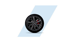 Hyundai i20N MY21 išskirtiniai stabdžių diskai