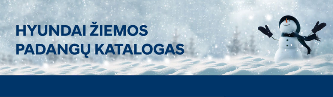 Hyundai Žiemos padangų katalogas Fakto autocentras